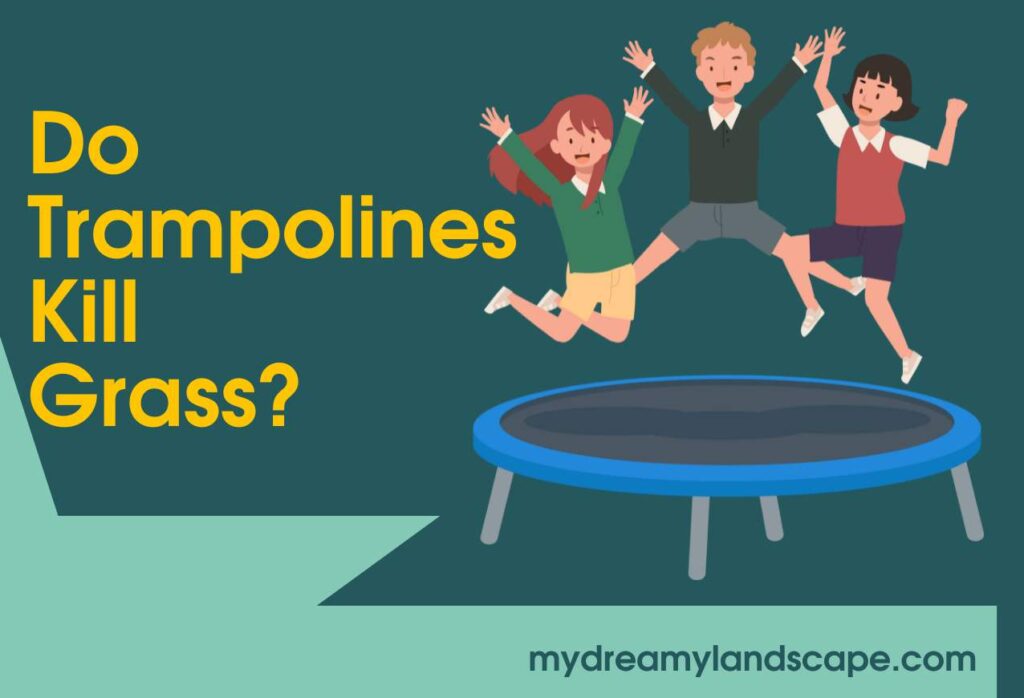 do trampolines kill grass