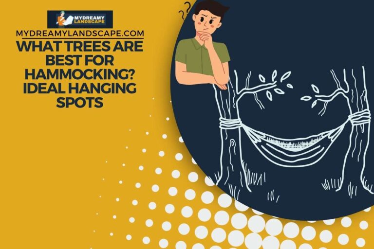 What Trees Are Best for Hammocking? Ideal Hanging Spots