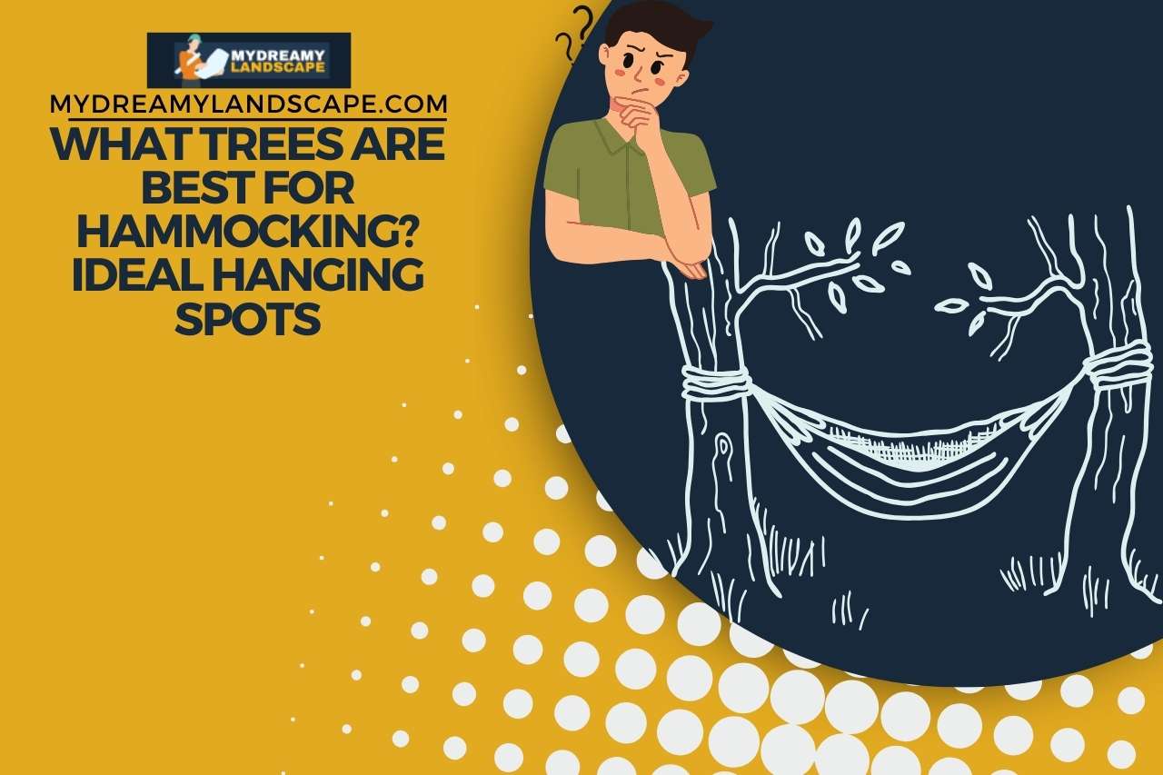 What Trees Are Best for Hammocking