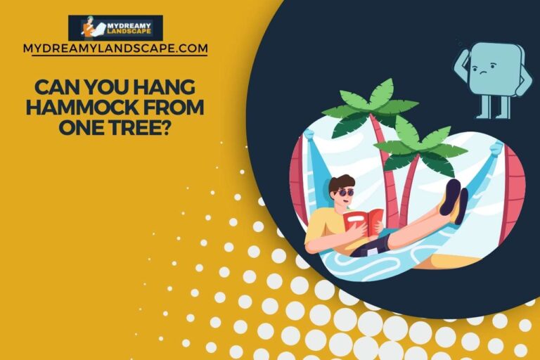 Can You Hang Hammock From One Tree?